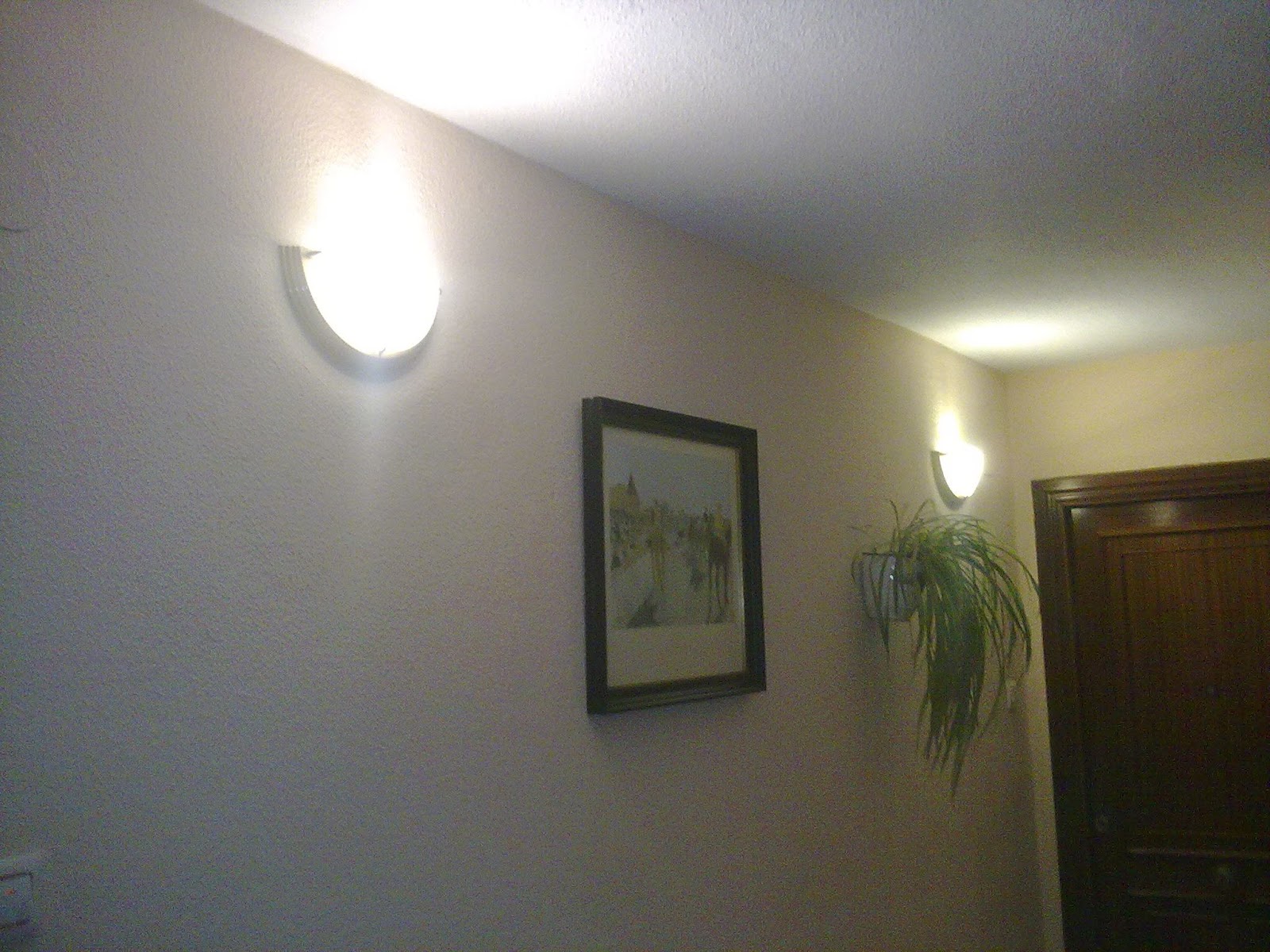 Sustitución de lámparas halógenas por LED